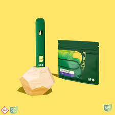 Lemon Lights Disposable Vape | H