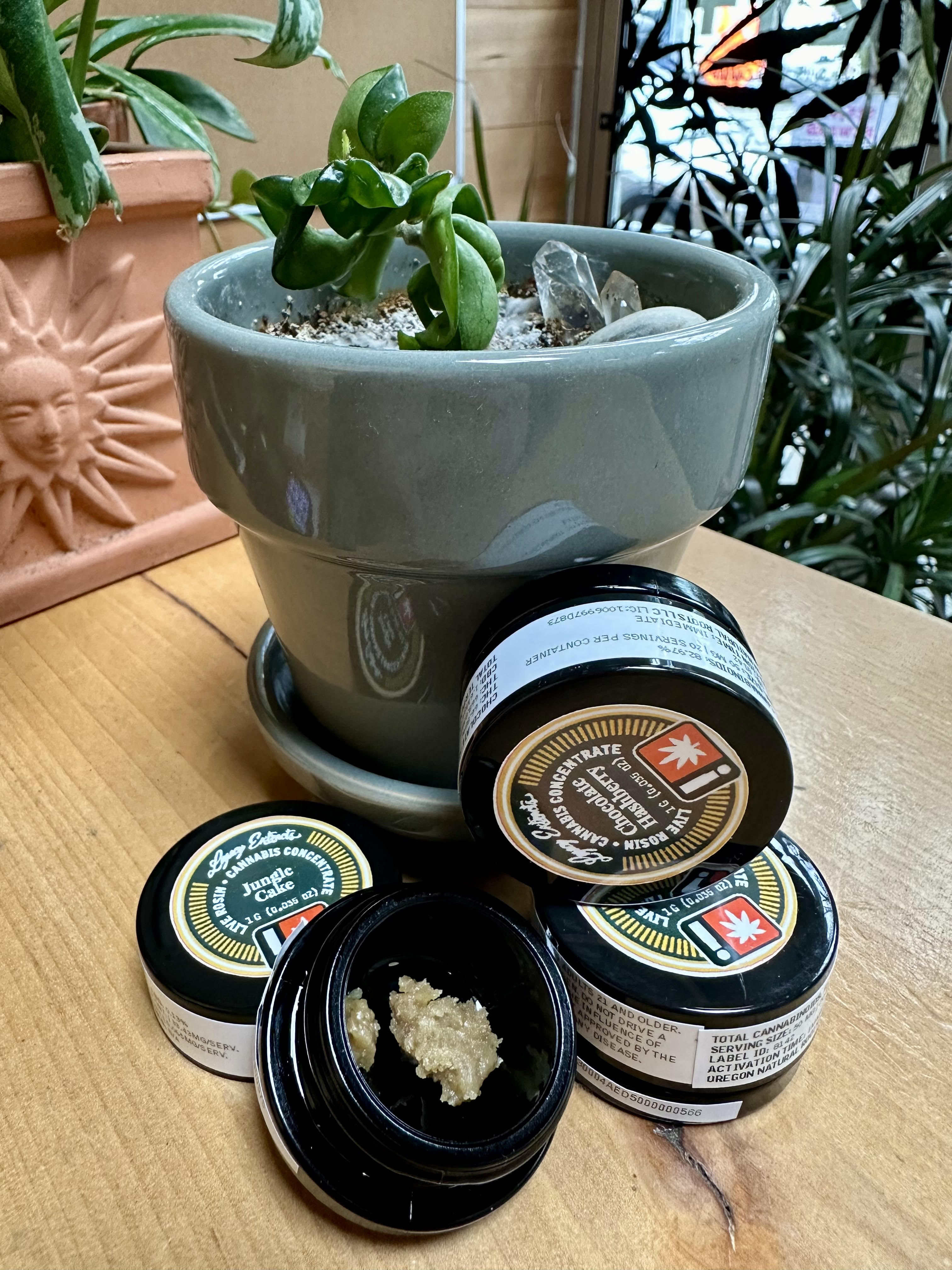 Jungle Cake | Live Rosin | 1g