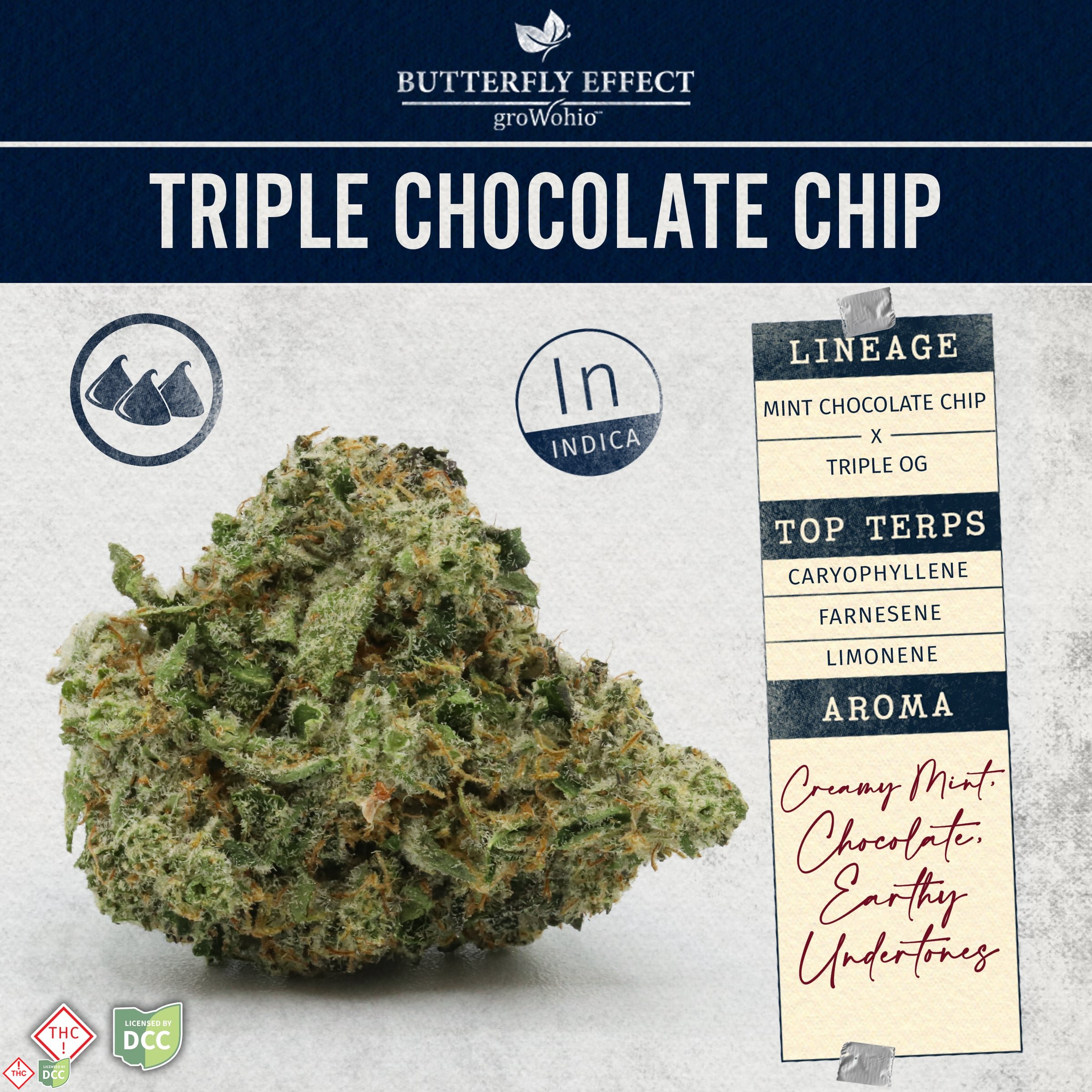 Butterfly Effect - Triple Chocolate Chip - Flower - 14.15g