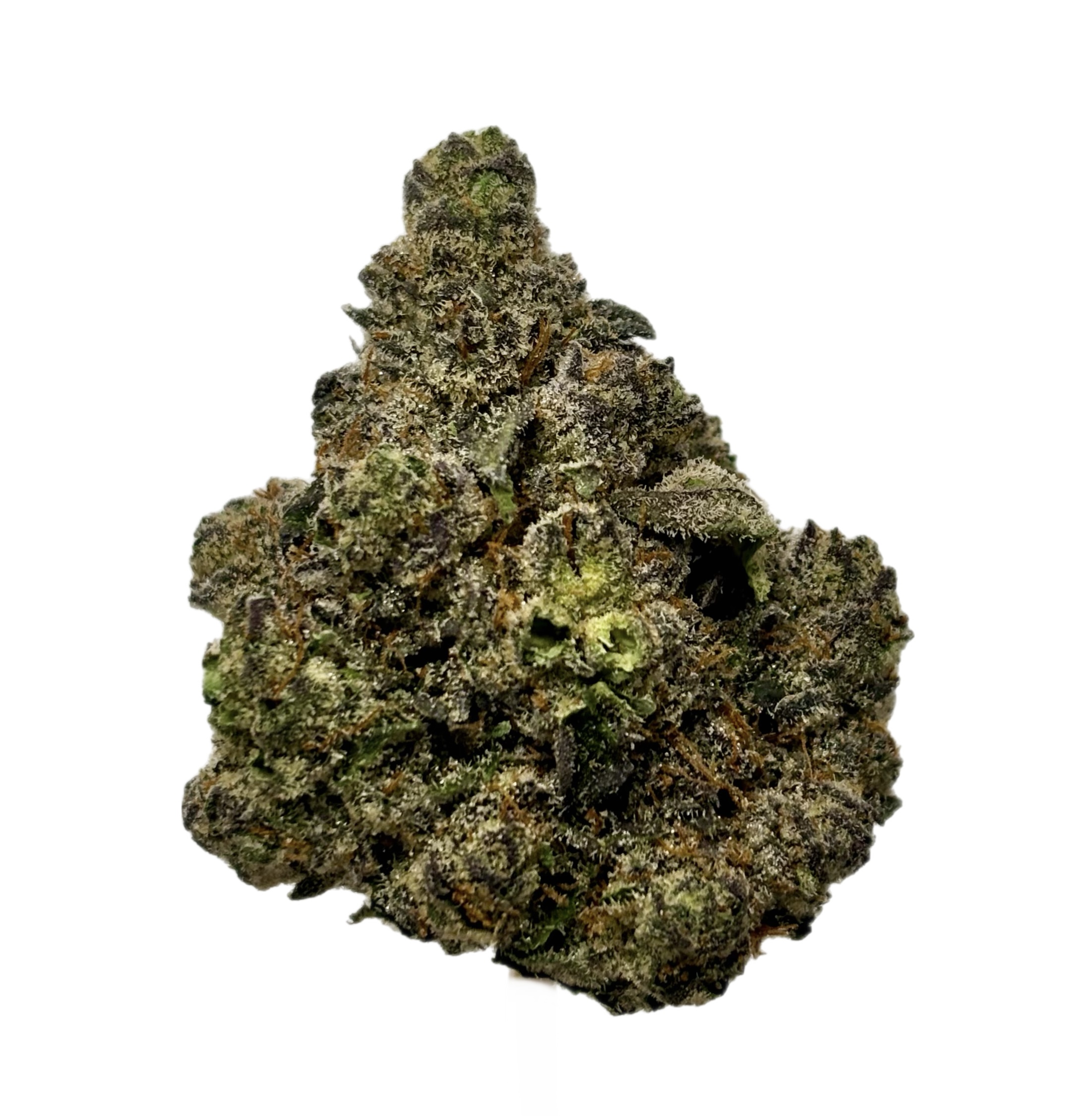 Northwoods | Tamalez | Bulk Flower | Purple Tier