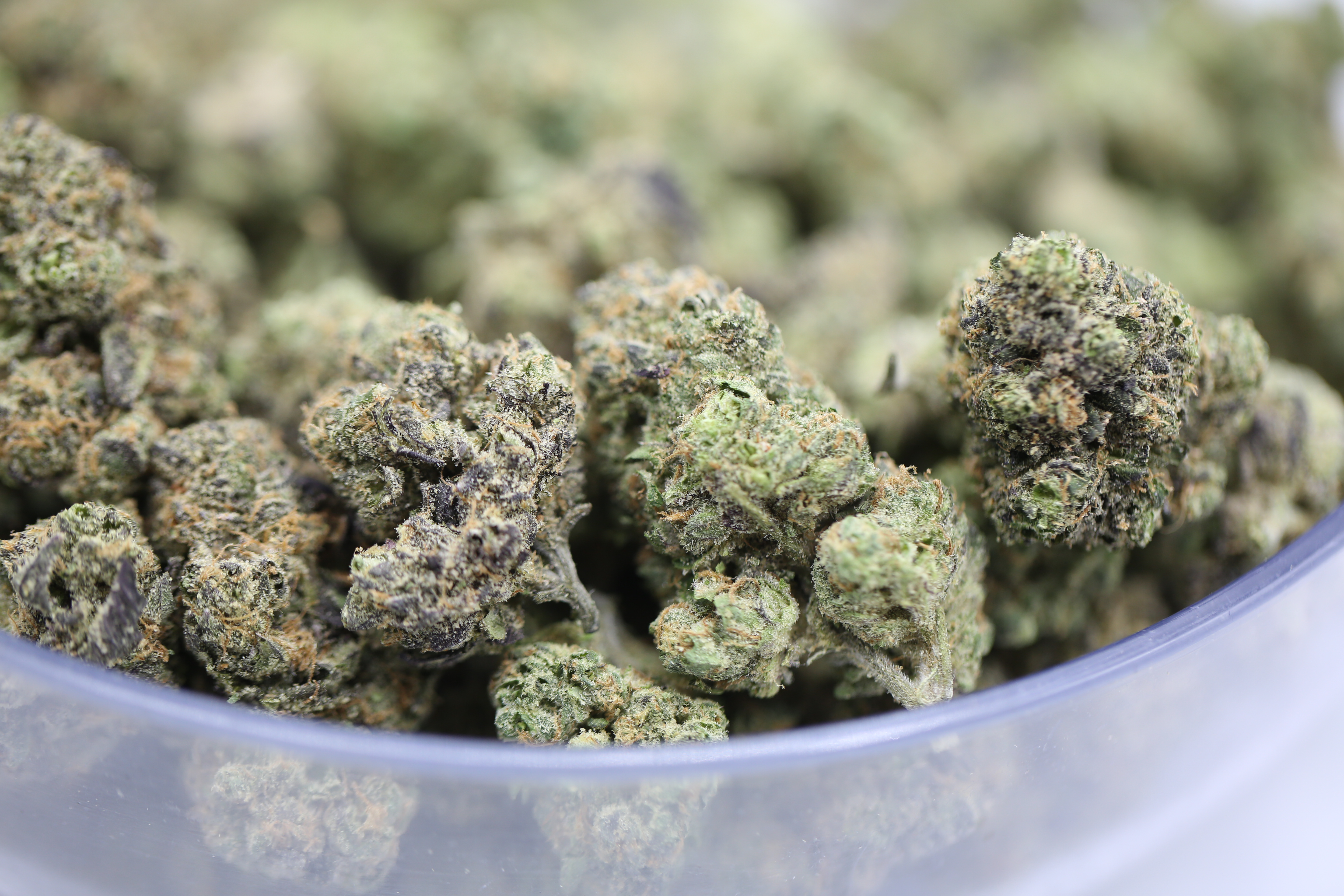 Lemon Cherry Zkittlez - Bulk Flower