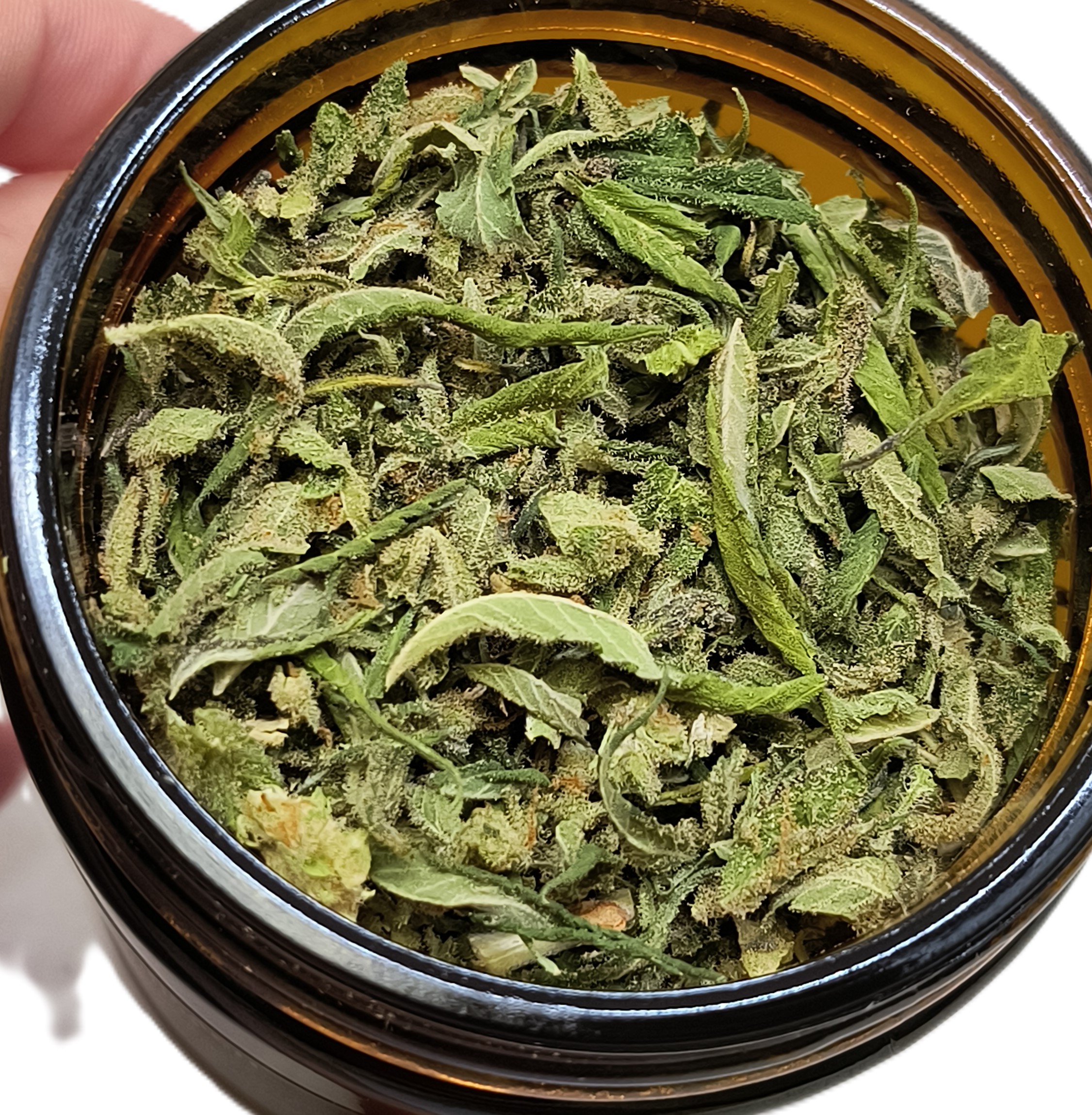 Maui Lobster Trim Bag Mr.