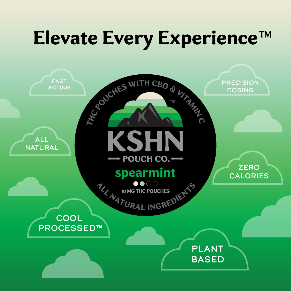 Spearmint | KSHN 10mg THC Pouch [20ct]