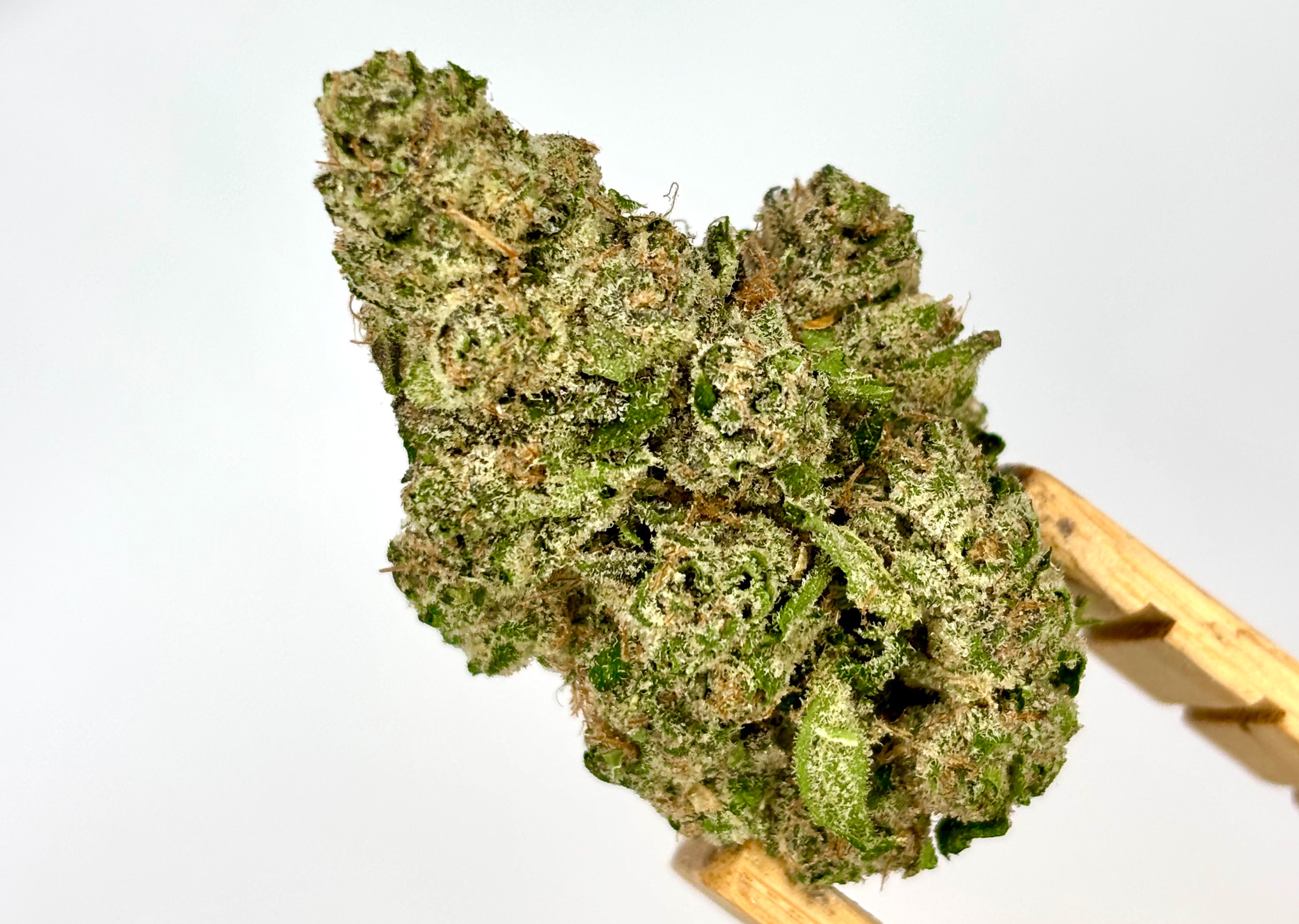 Biggie Runtz Bulk Flower Purple