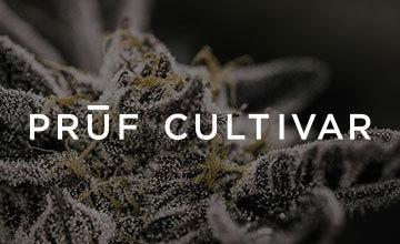 Pruf Cultivar Zsunami #12