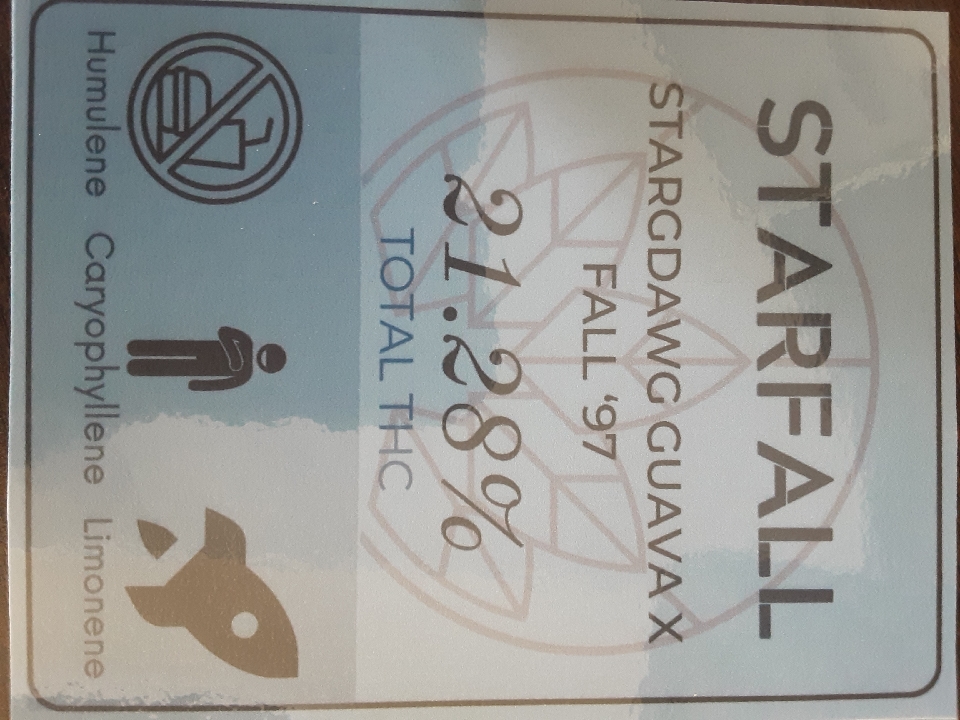 2025 Flower: Starfall