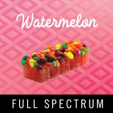 LEVITATE | WATERMELON CRUNCH ORBIT | SATIVA | GUMMIES | 200MG | REC
