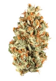 Jack Herer