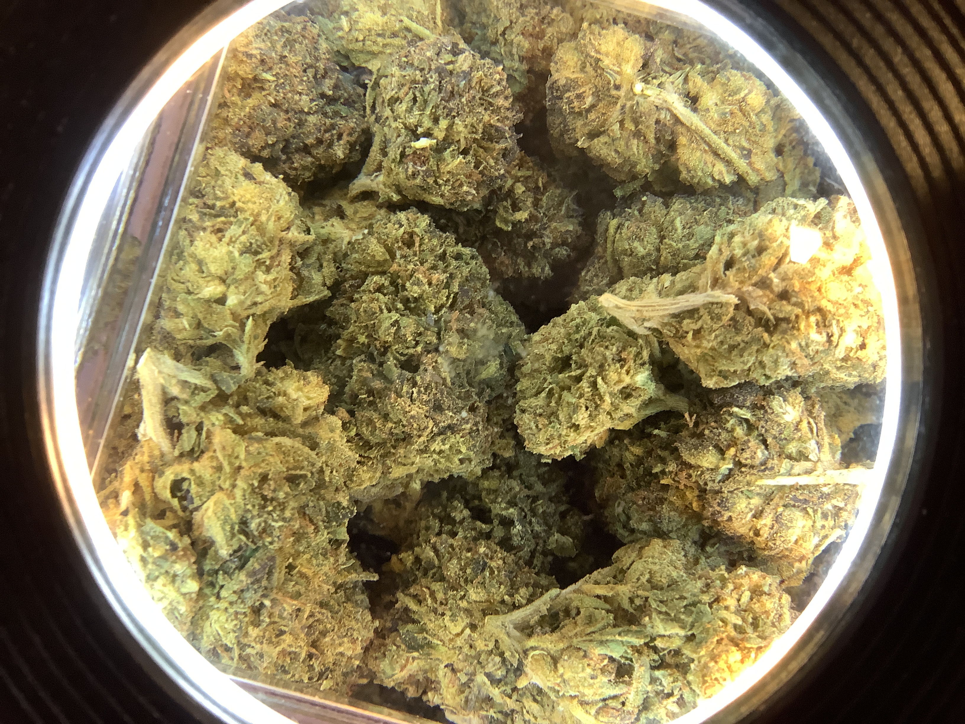 Guava Gelato