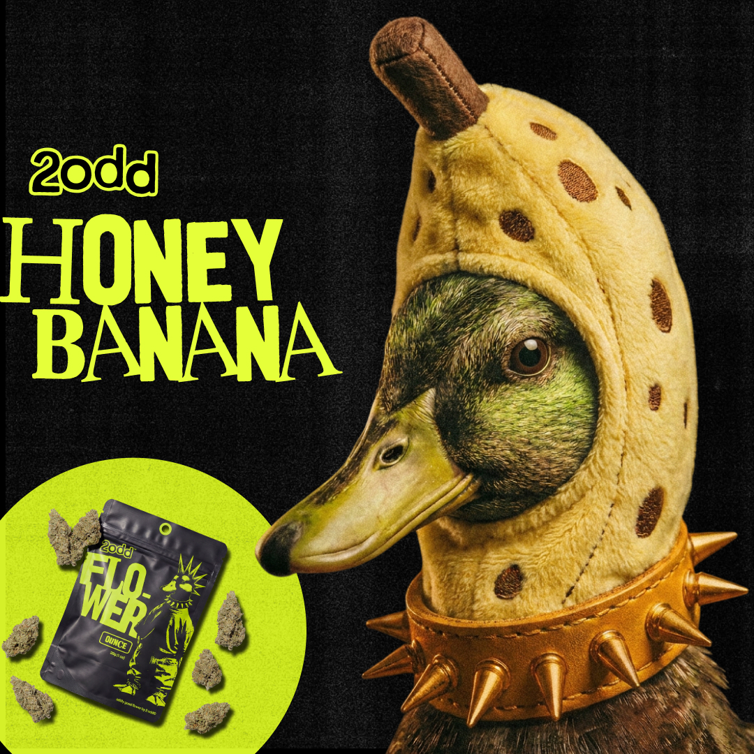 2 ODD - 28g Prepack - Honey Banana