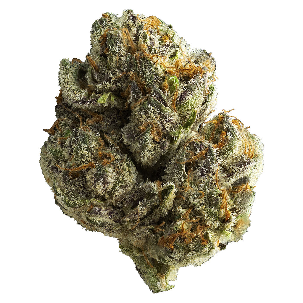 Muskoka Grown - Mighty Mini's - (GSC X Snow Lotus) - 2.3% Terps!