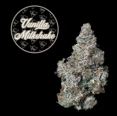 Vanilla Milkshake | 3.5g