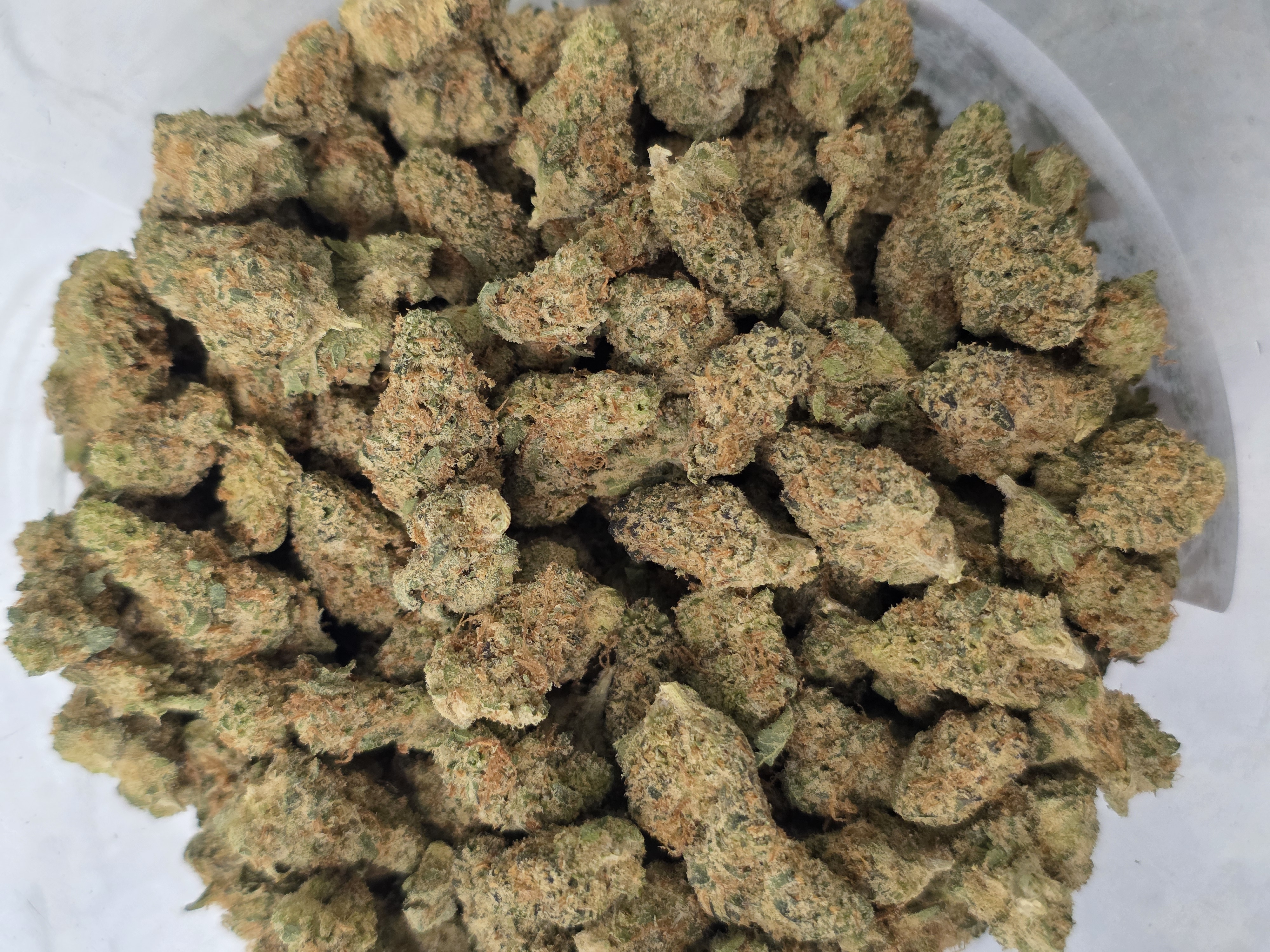 MS KC Trop Cherry Gelato - 1oz in Las Animas