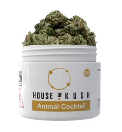 HOUSE OF KUSH Animal Cocktail 3.5g