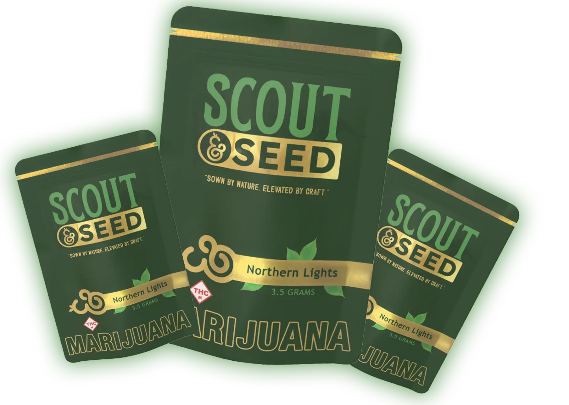 Scout & Seed: Prepacked Flower (Mad Honey)