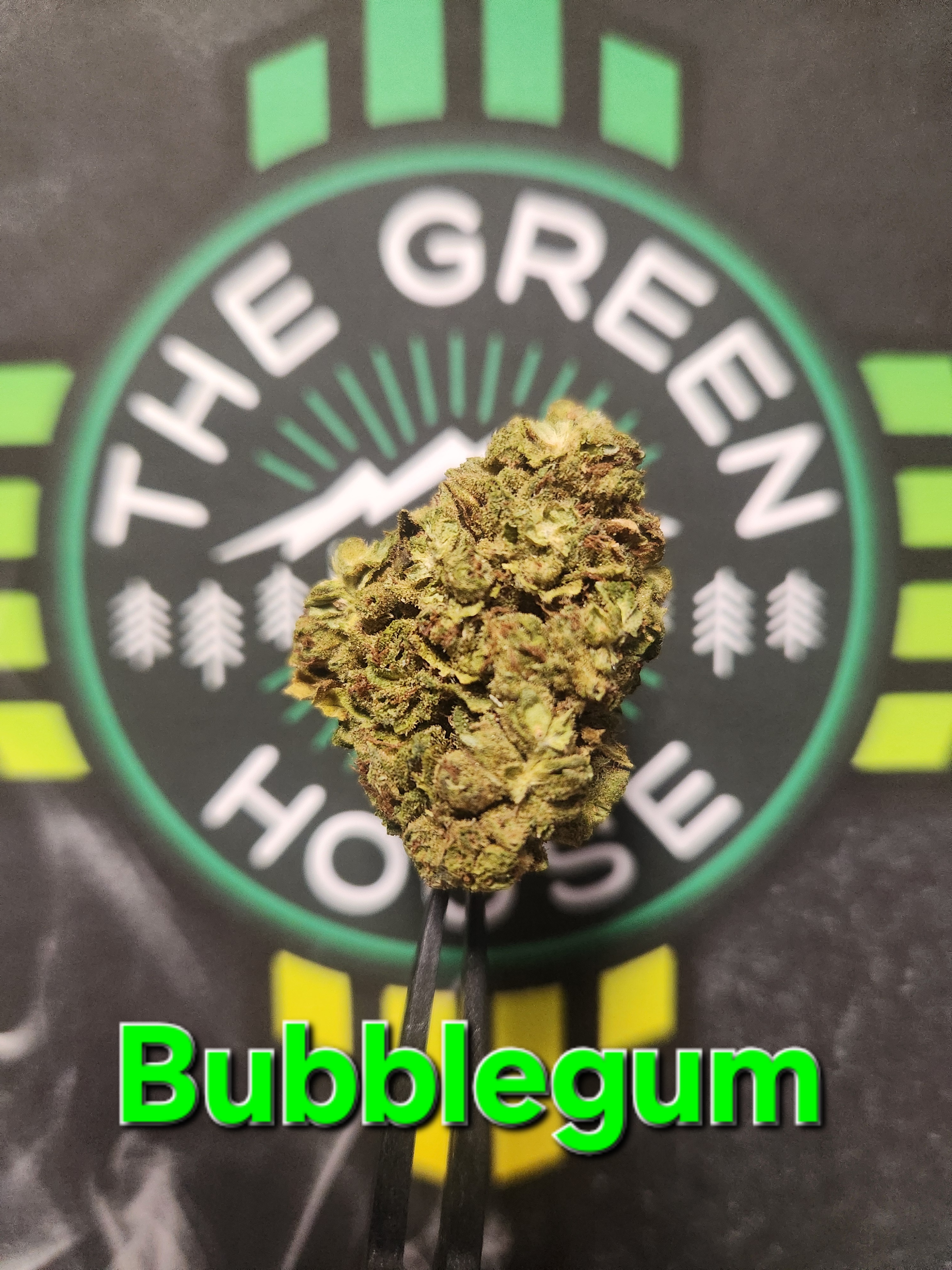 Bubblegum - (H)