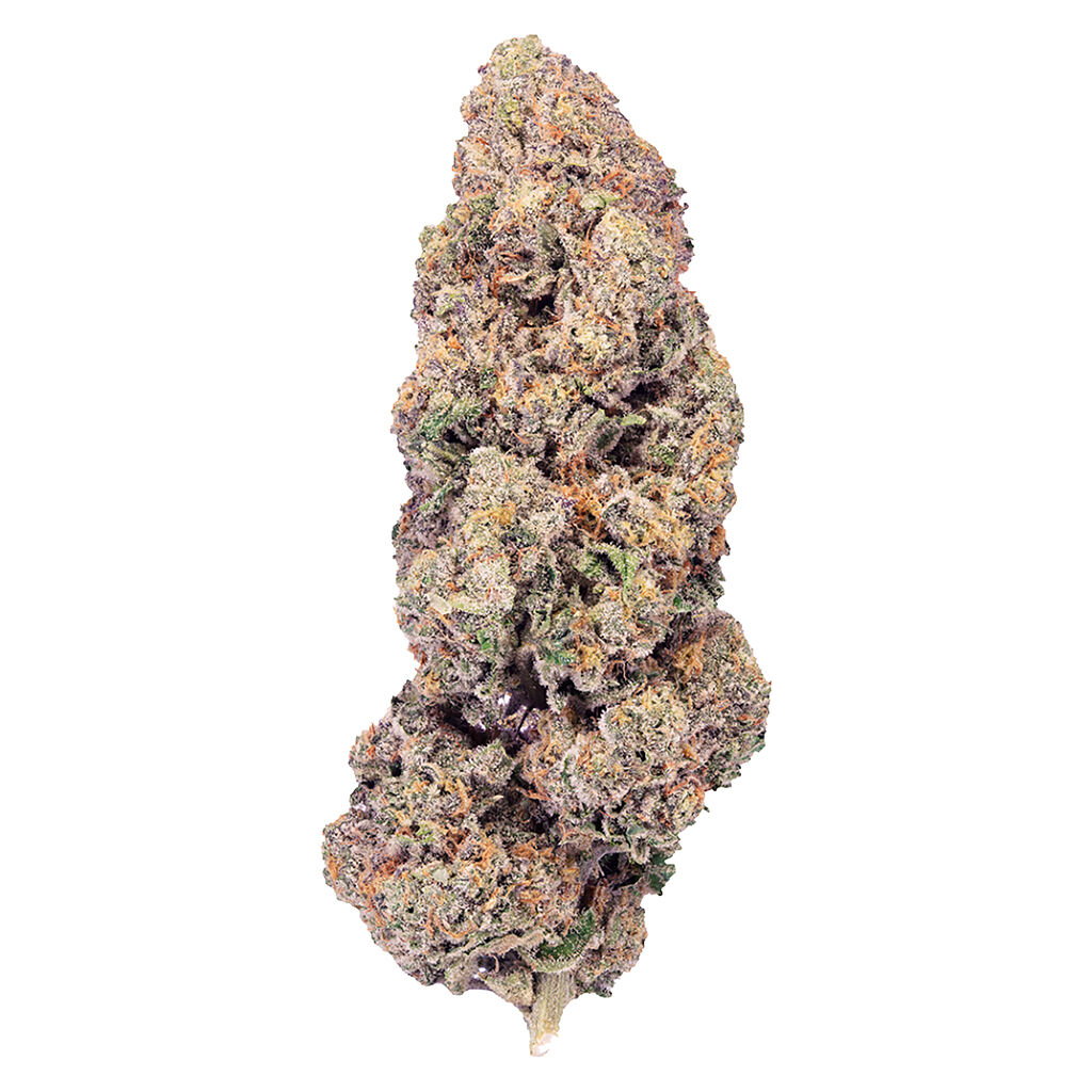 PURPLEFARM - Super Boof - Hybrid