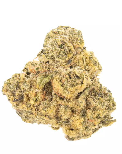 Rolls Choice  2. 5pk