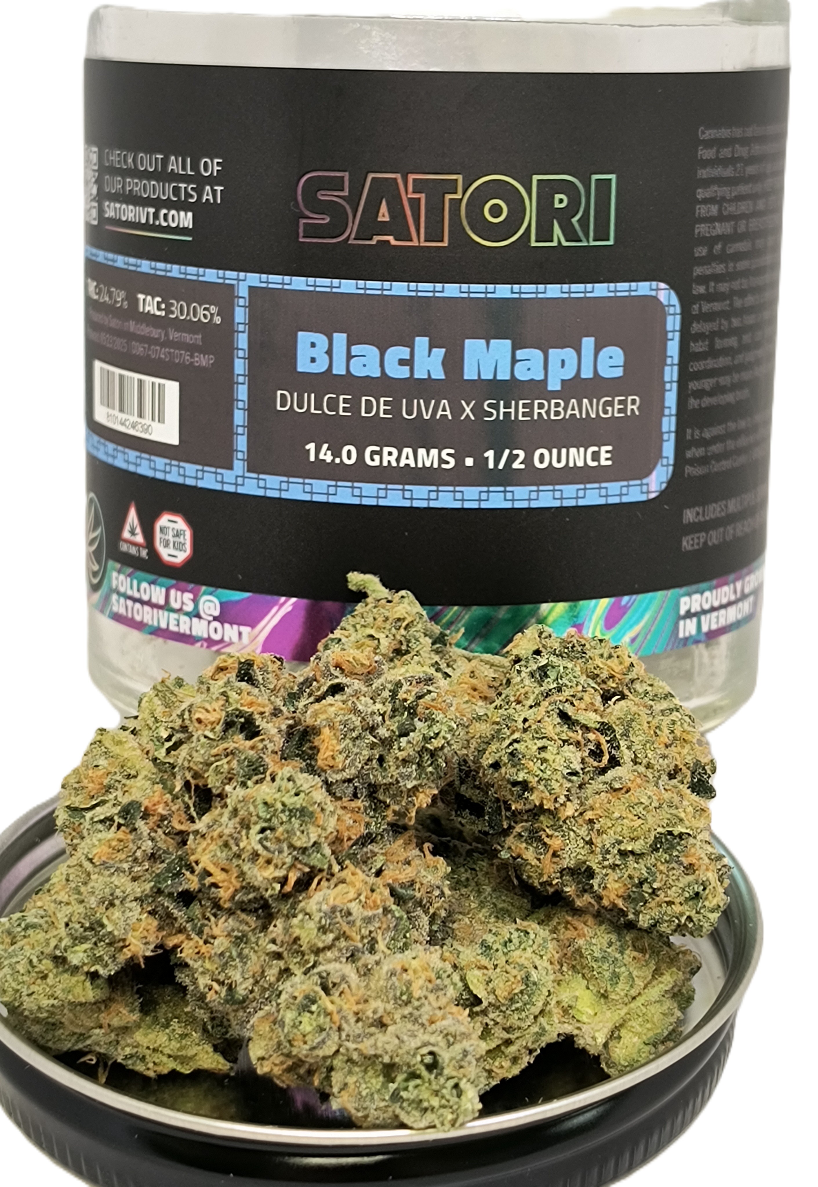 Black Maple Buds Jar