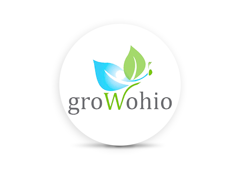 Strawberry Butterfly Effect 10 Count Gummies • Ethos Cannabis