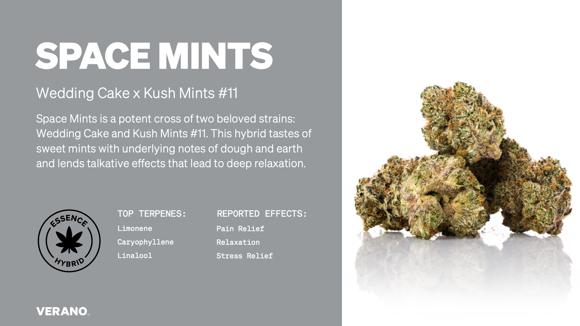 Savvy Space Mints