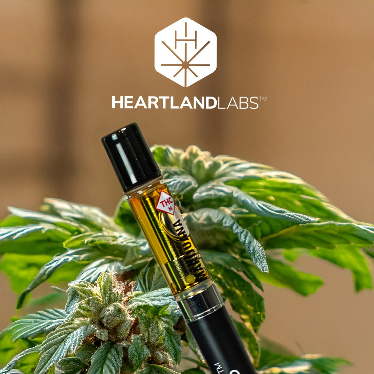 Heartland Labs | Apple Jack Cartridge