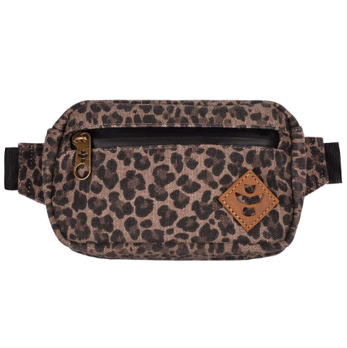 The Companion Leopard