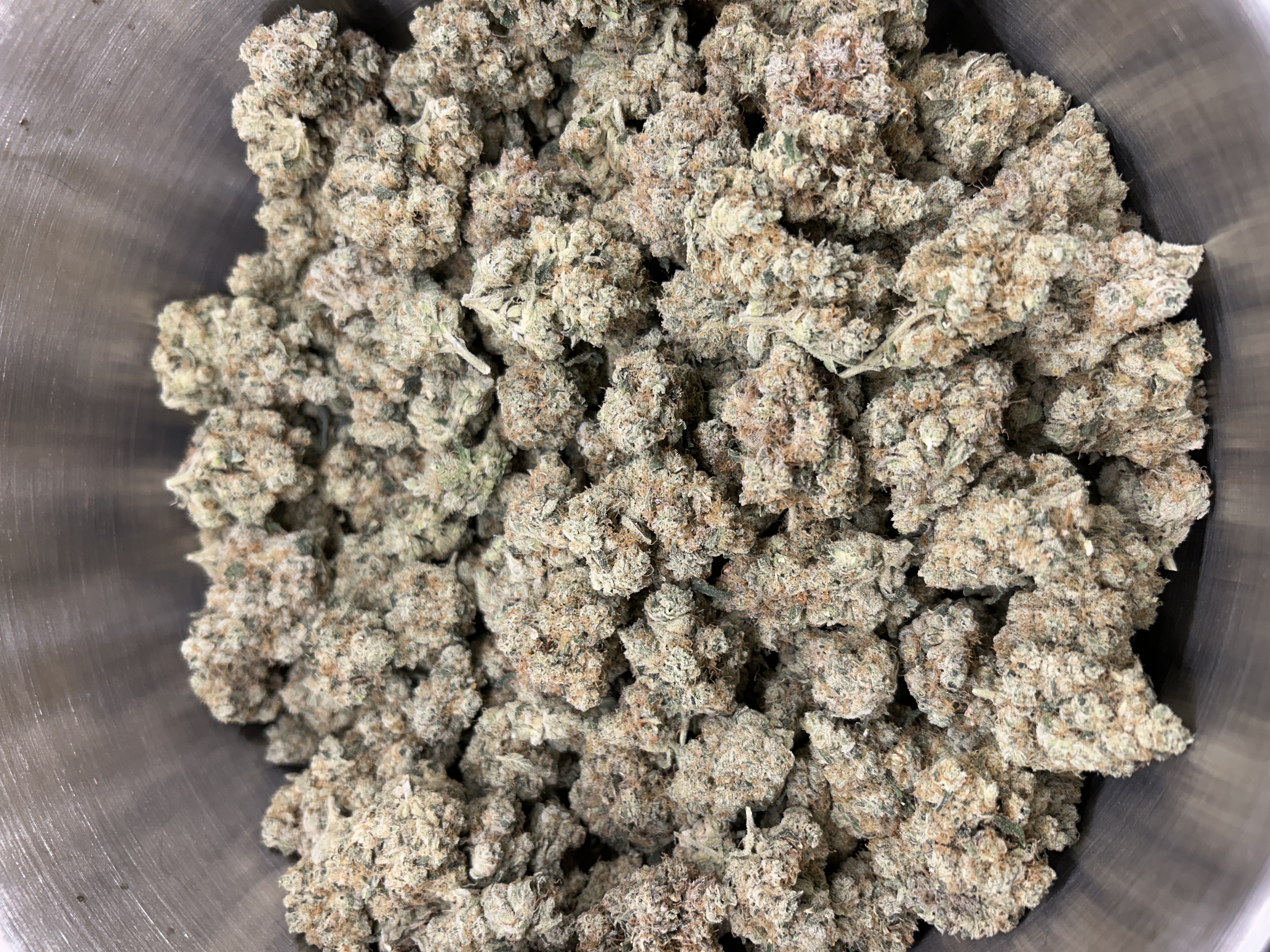 Harbor House | Dame Ma's OG | Buds | 3.2% Terps (1g) product photo