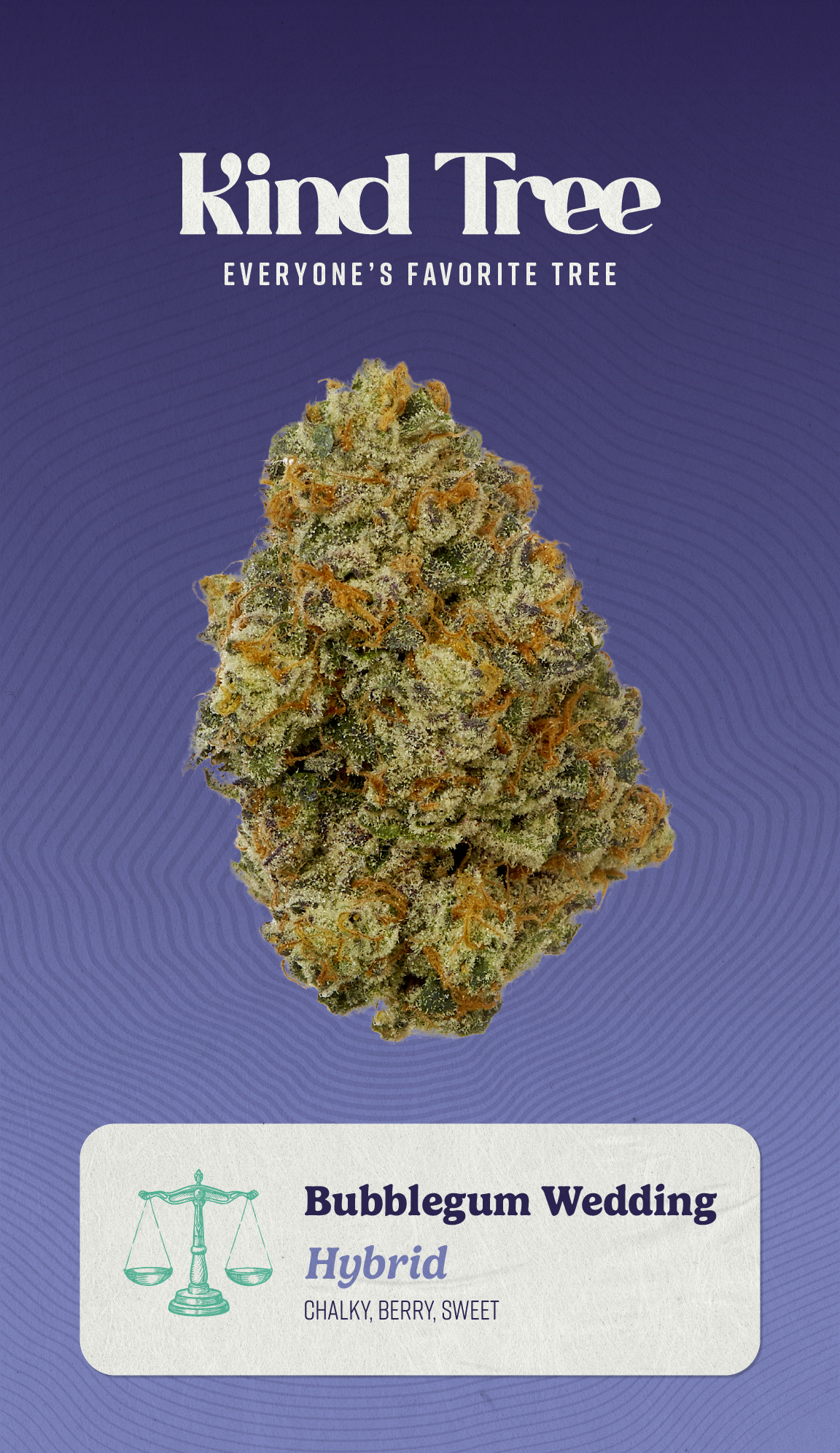 Bubblegum Wedding Pre Packed