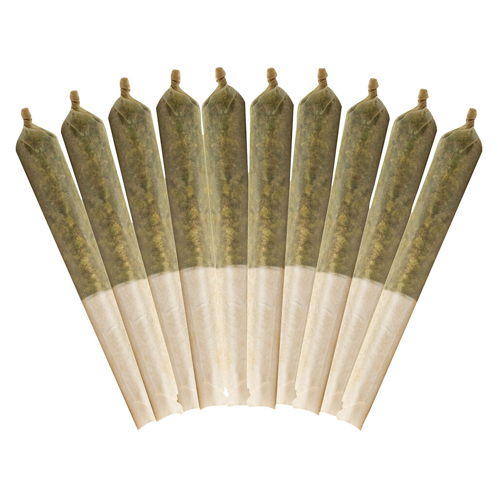 116 - Buddy Blooms - Ethos Glue Pre-Roll - 10x0.5g