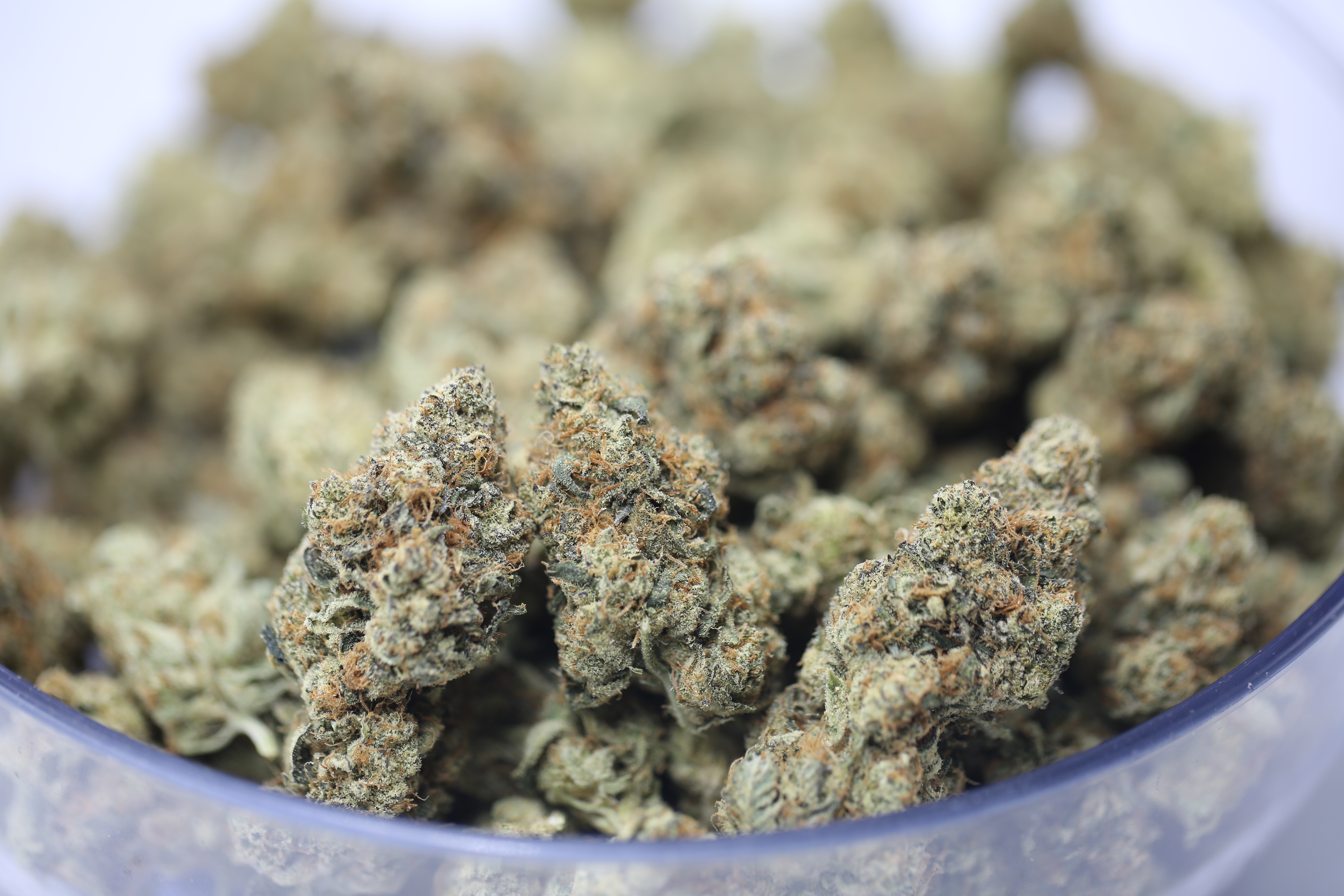 Tahiti Twist - Bulk Flower