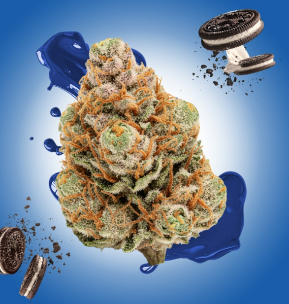 CURIO Oreoz 5g