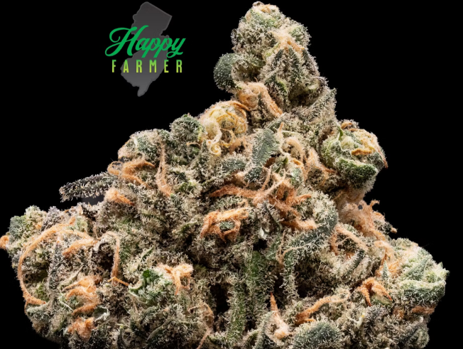 Happy Farmer | Blue Dream 3.