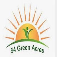 54 green acres: Green Dragon - 54 Green Acres - Green