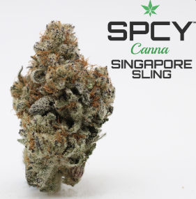 Premium (Flower) | Singapore Sling