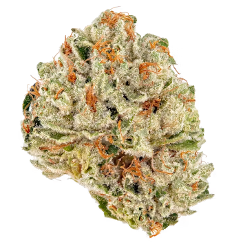 Fresh | Crunch Berry | 3.5g