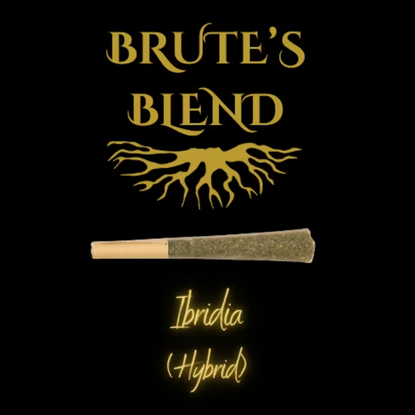 Single PreRoll - Brute's Blend Hybrid  |  MED