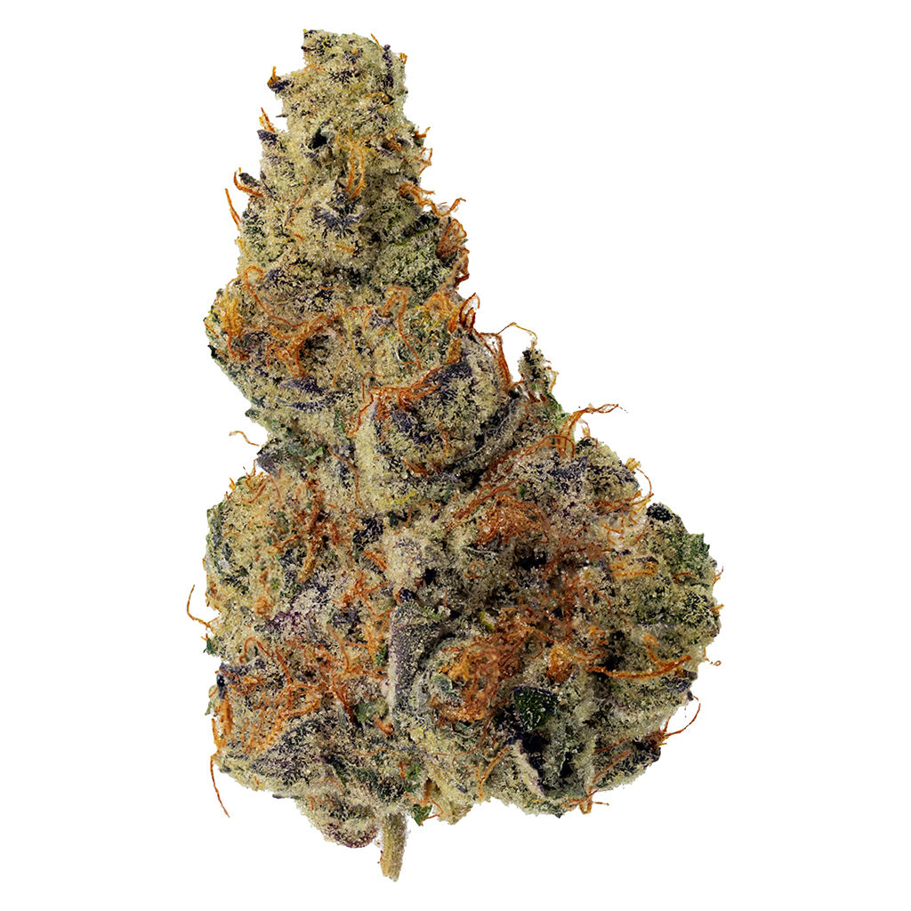 Dank Craft - Space Cake - Girl Scout Cookies x Snow Lotus - 3.5g