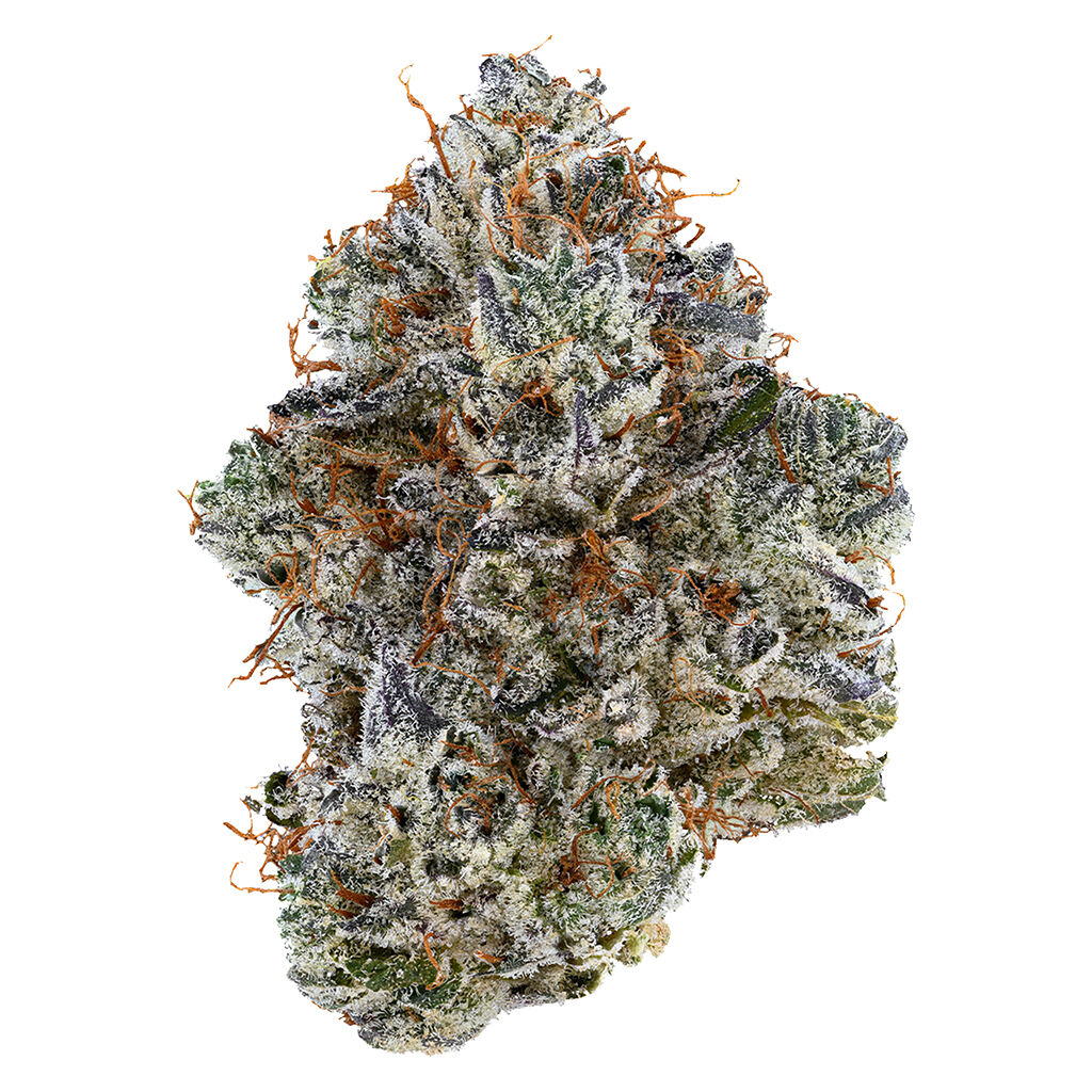 Tribal - Neon Sunshine - Zktlz x Falcon 9 - 3.5g
