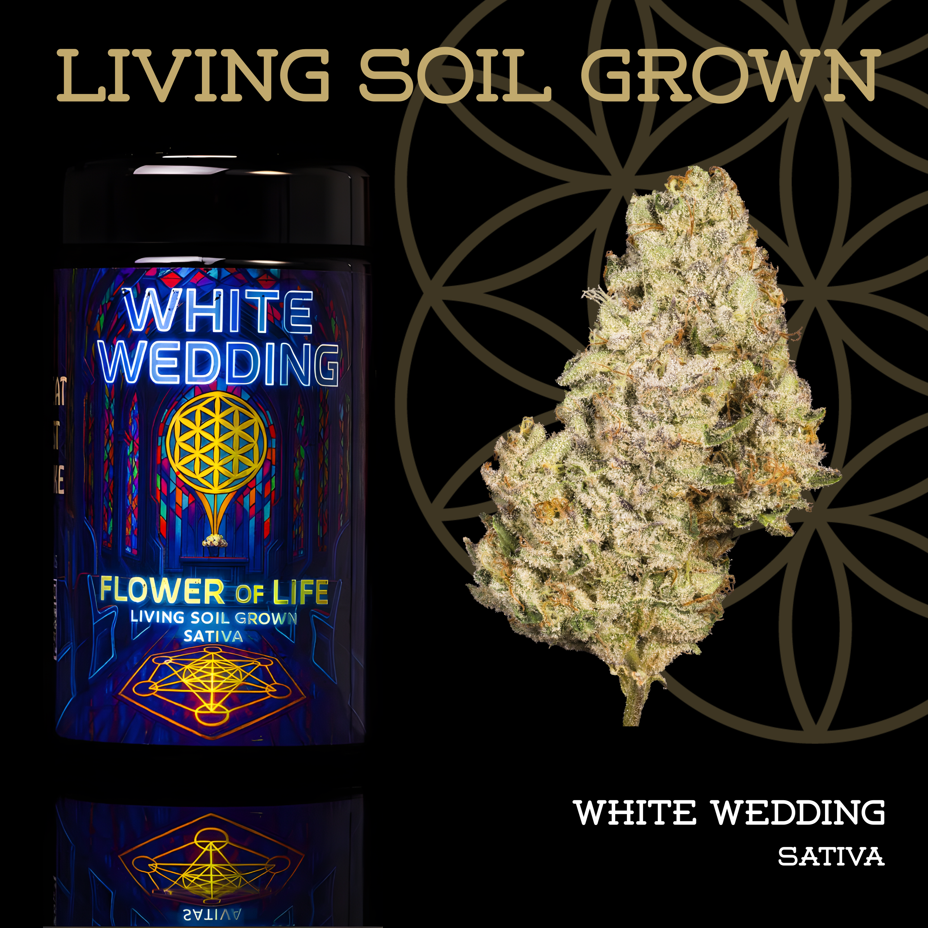 Flower of Life White Wedding 3.5g