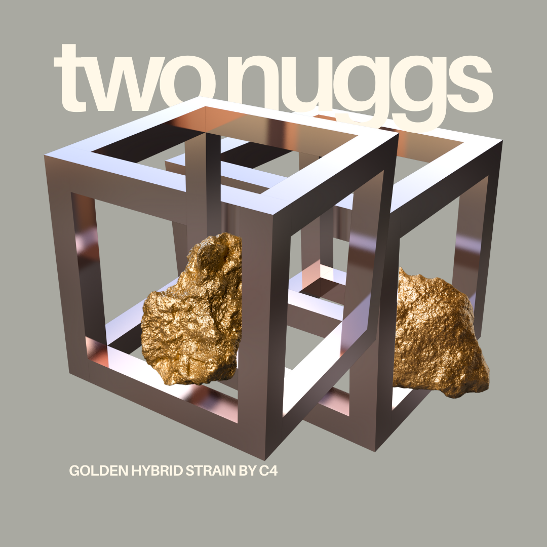 Two Nuggs