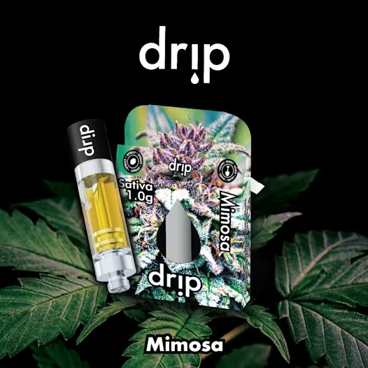 Drip - Cartridge - Mimosa (Sativa)
