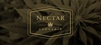 Nectar Stamp Shirt Black