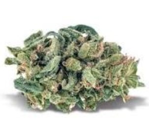 Platinum Reserve Exodus Cheese Flower