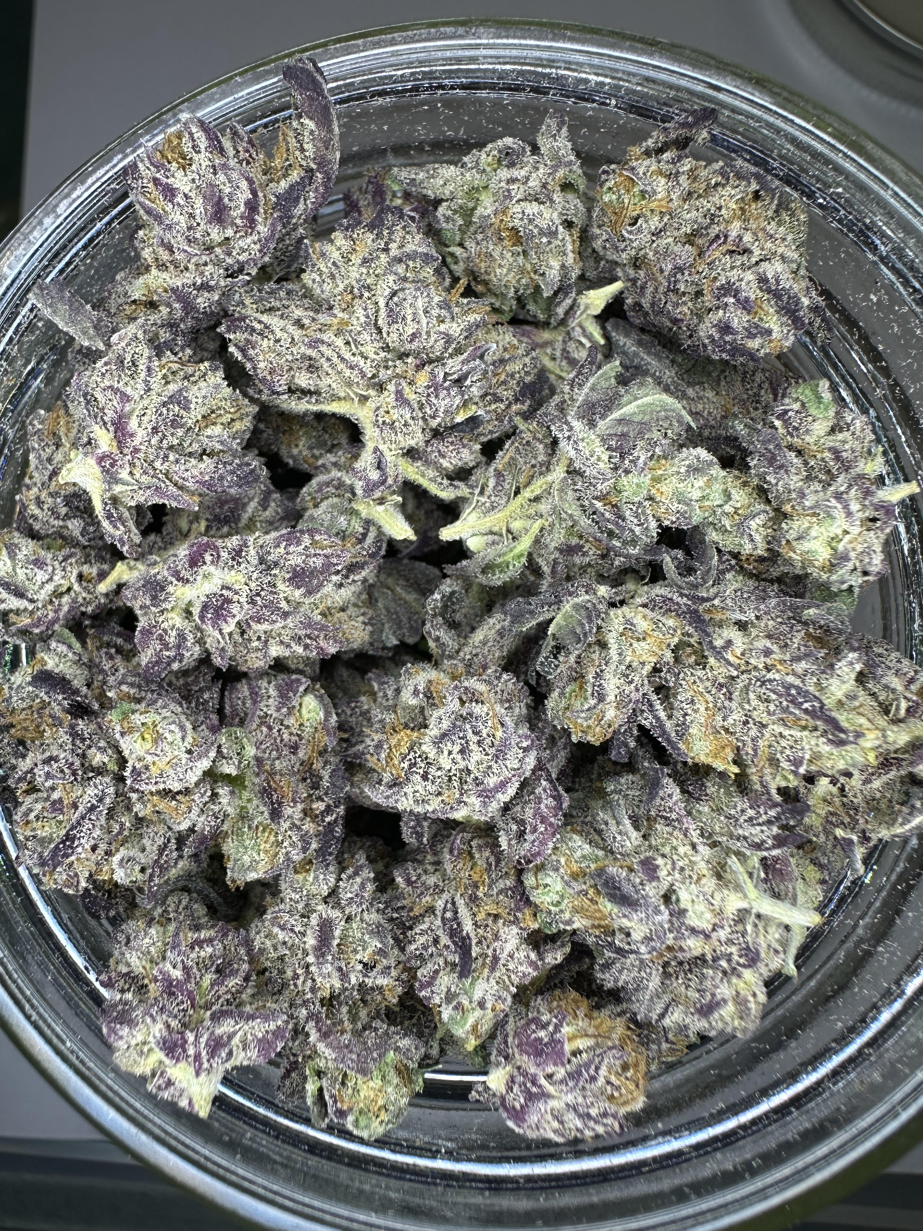 Oregon Roots: Obama Kush