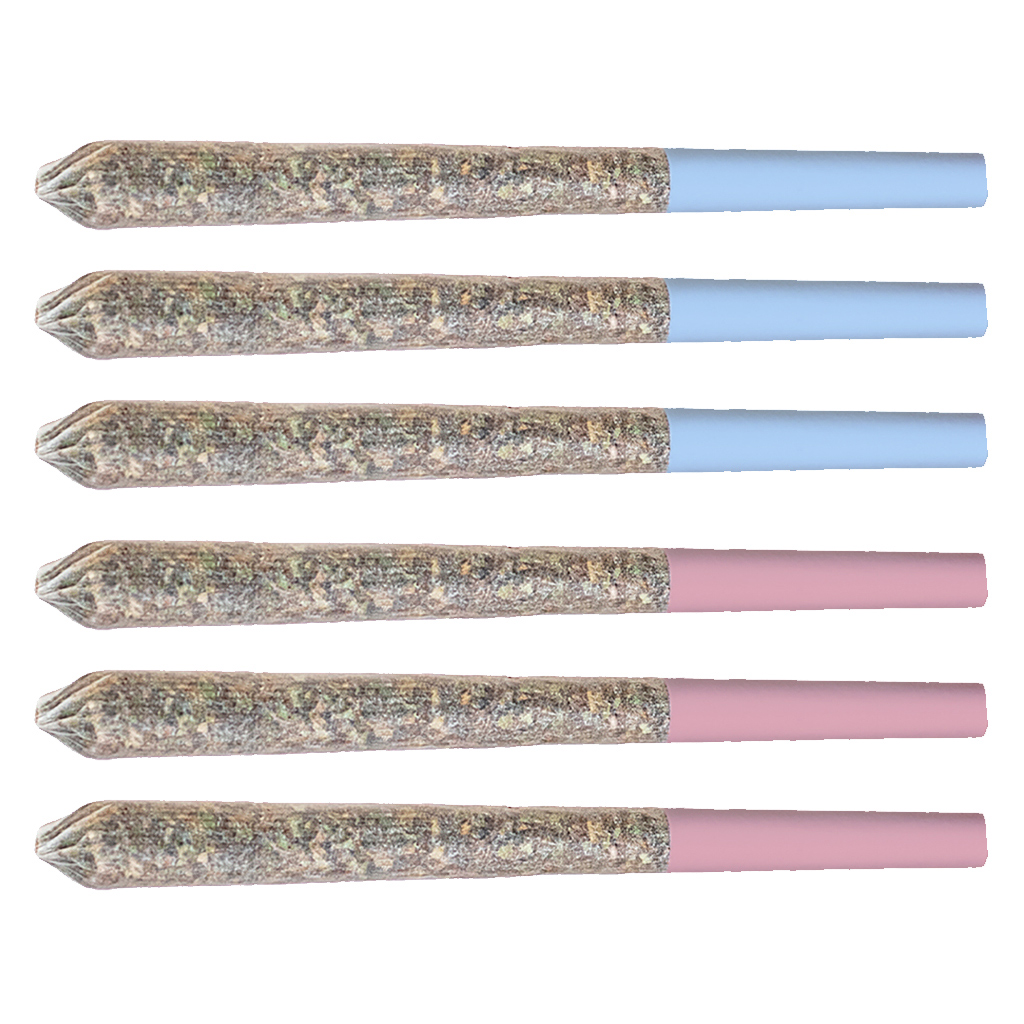 Station House - Variety Pre-Roll Pack - Blue Dream and Pink Kush - 6x0.5g