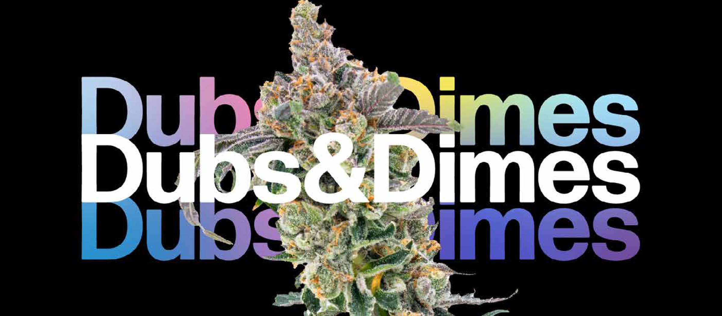 Dubs & Dimes | Classic