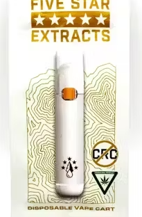 Five Star Extracts - Safety Meeting Nug Run - 1g Disposable Vape