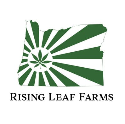 5pk Squirt Feminized Seeds Sativa