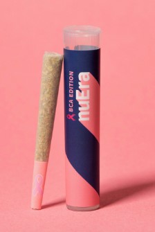 Rollin Rosa Pre Roll Jungle